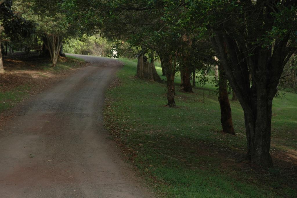 מלני Whispering Valley Cottage Retreat מראה חיצוני תמונה