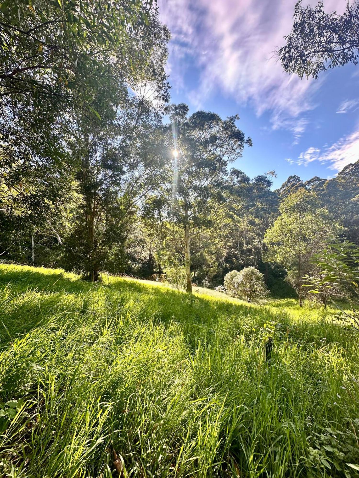 מלני Whispering Valley Cottage Retreat מראה חיצוני תמונה